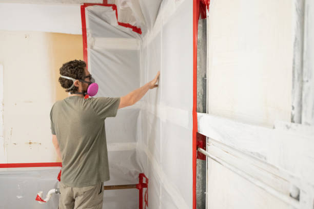 Professional Mold Removal in Shallowater, TX