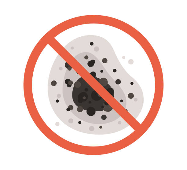 Best Mold Remediation for Healthcare Facilities  in Shallowater, TX