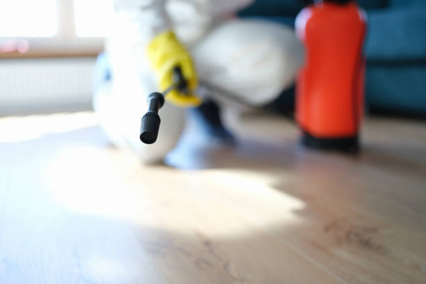Best Mold Prevention Services  in Shallowater, TX